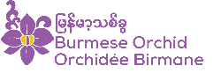 Website Logo